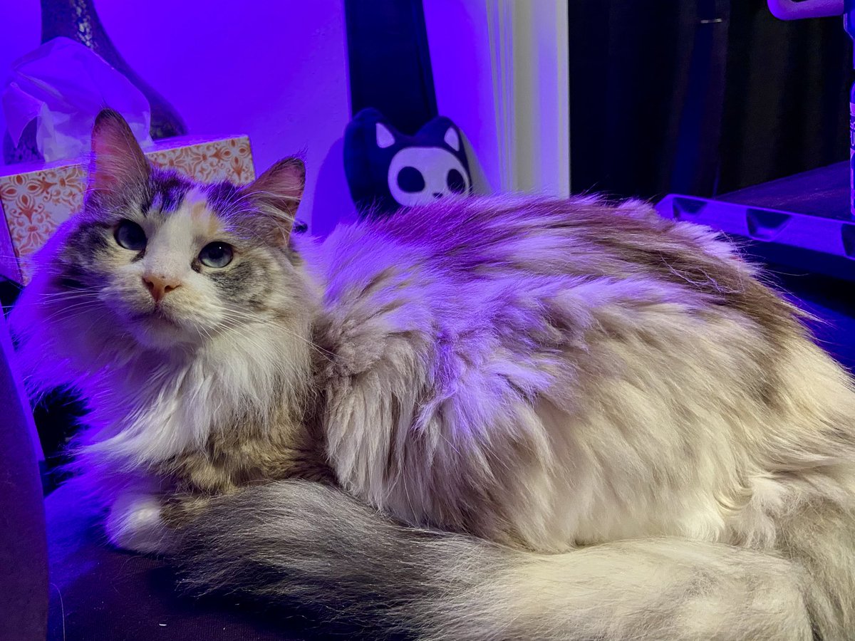 marrow 🔞 tweet media