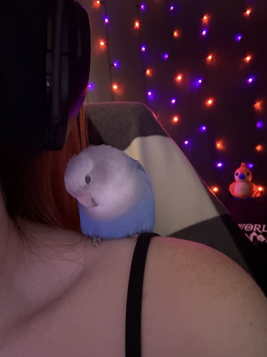 adhdeedee tweet media