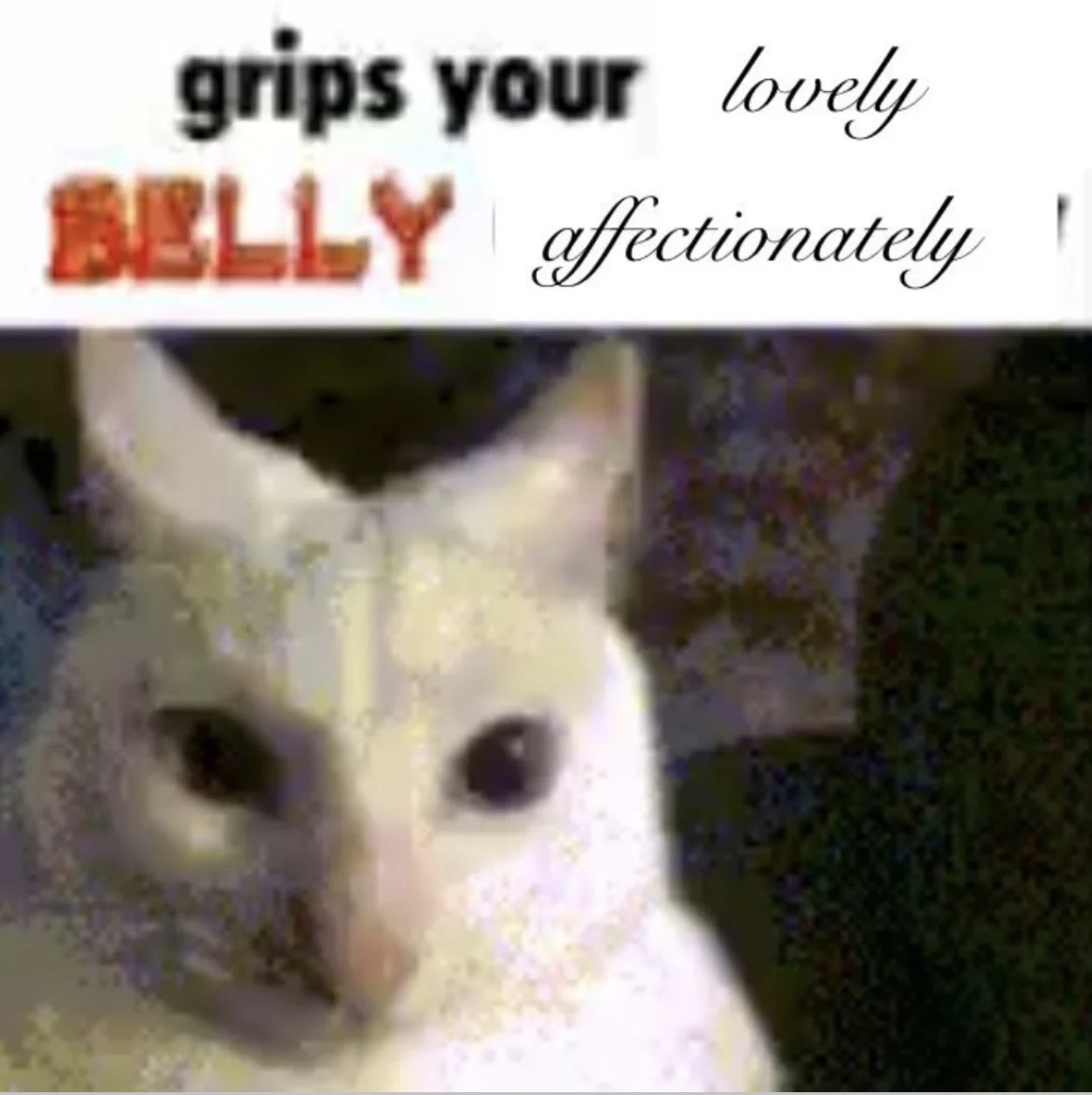 ☆ mettaton ☆ tweet media