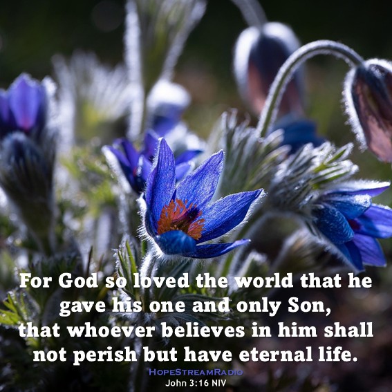 HopeStreamRadio's tweet photo. #dailyverse #versefortoday #hopestreamradio #John3v16 #save #salvation #Saviour #MySaviour #bornagain #gospel #Easter #Lent https://t.co/3wLRAwuTlm