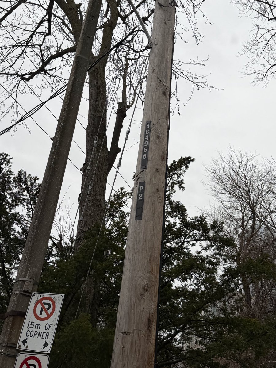 Mark McQueen tweet media