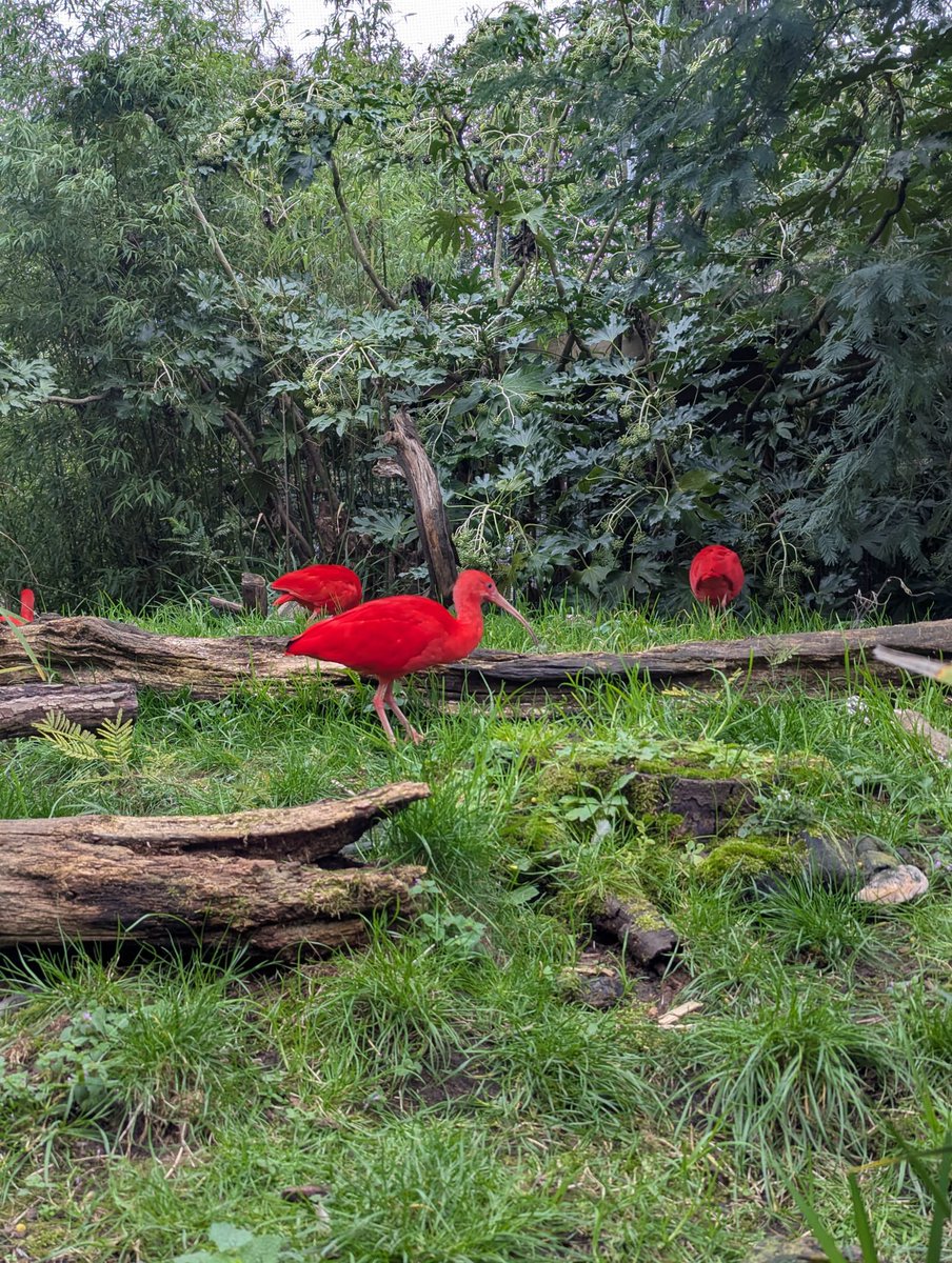 Haringey Learning Partnership tweet media