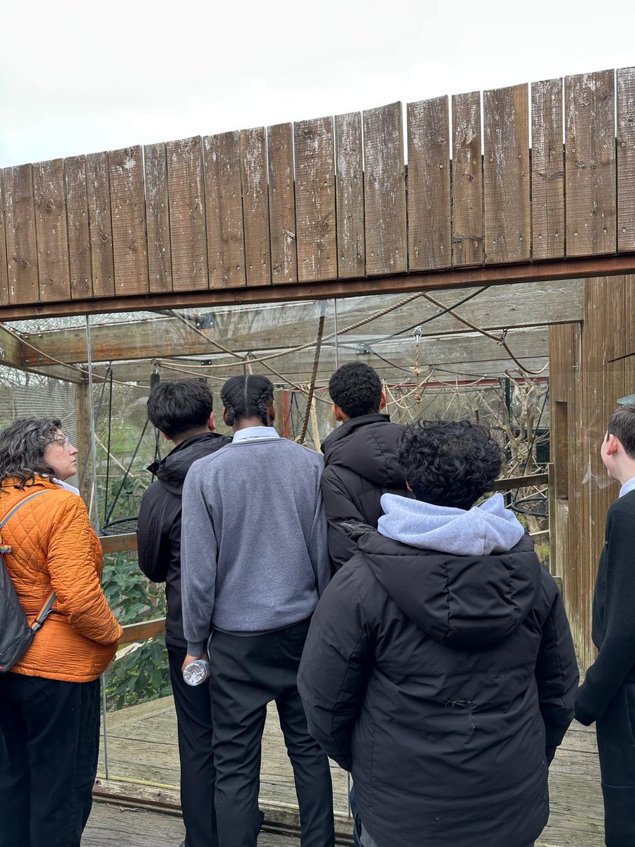 Haringey Learning Partnership tweet media