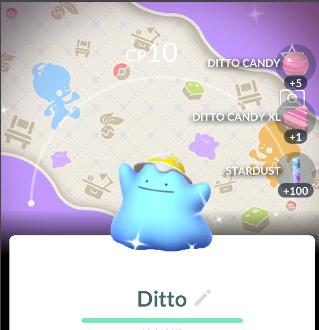 FilthyPokéShow tweet media