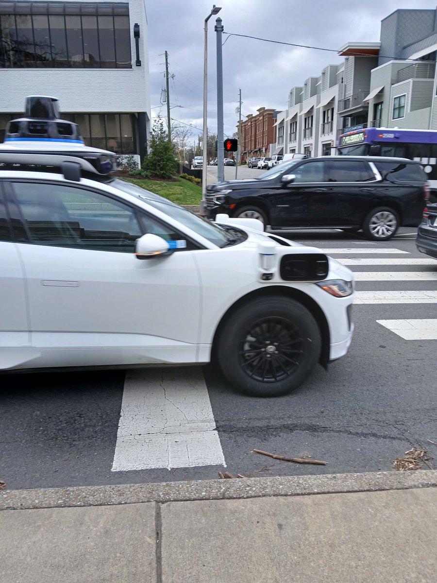 Irizaurus tweet media