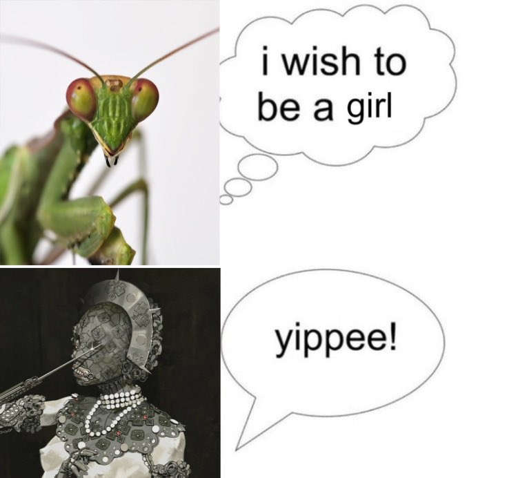 shakashuri || COME HOME COLLIER tweet media