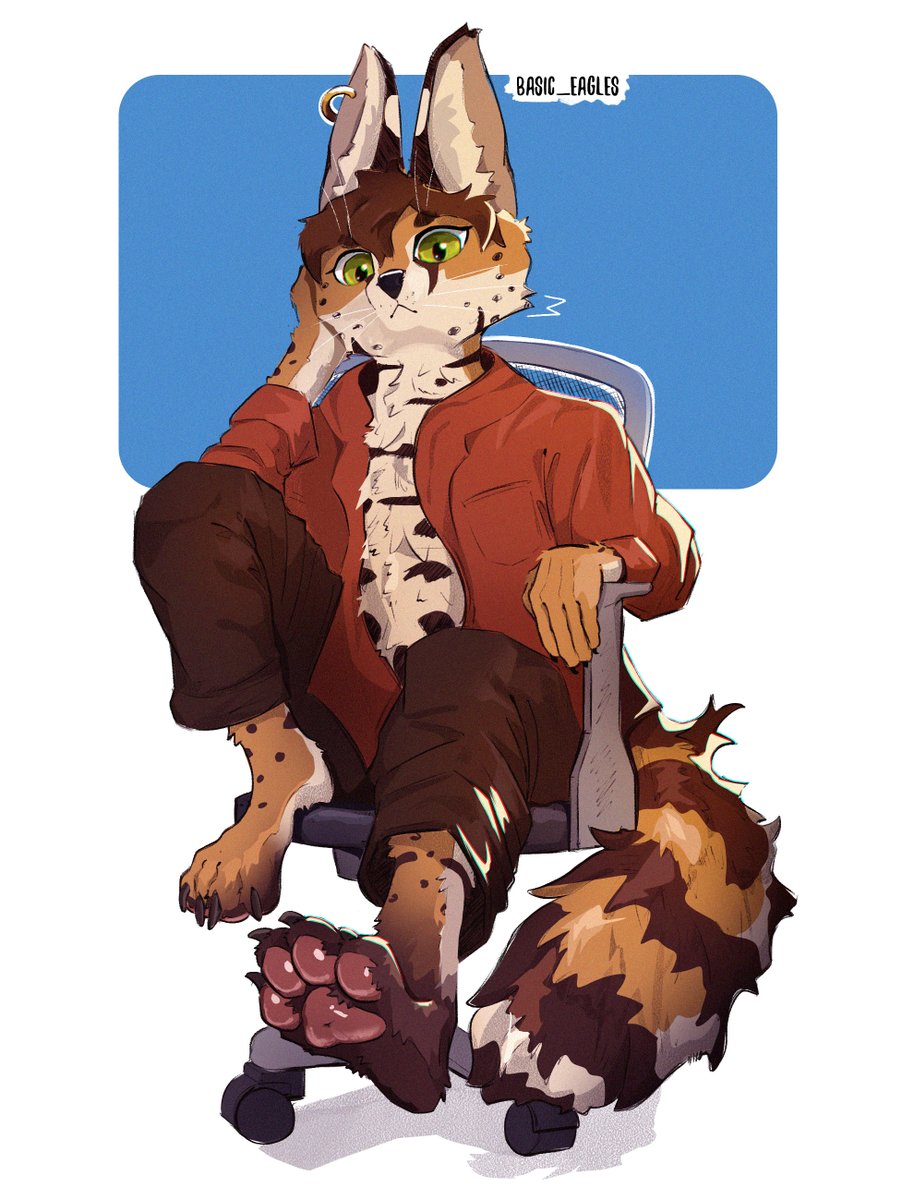 basic eagles tweet media