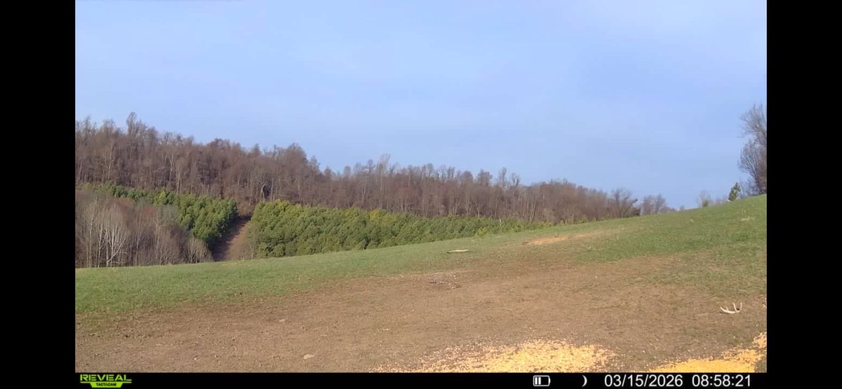 FRACKERS Back 4 Rill. Town Cryer ? tweet media