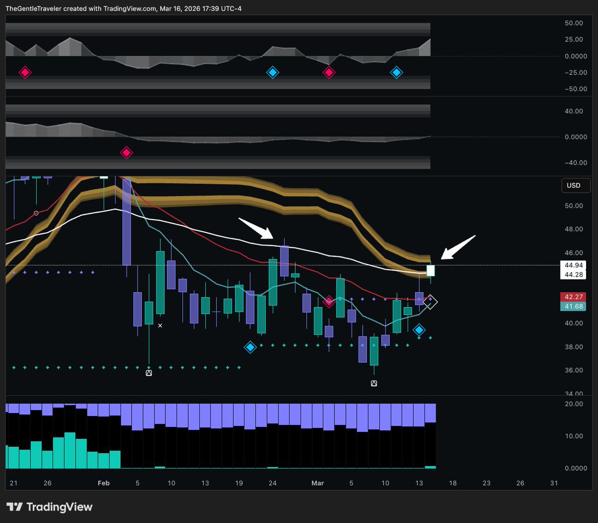 TheGentleTraveler tweet media