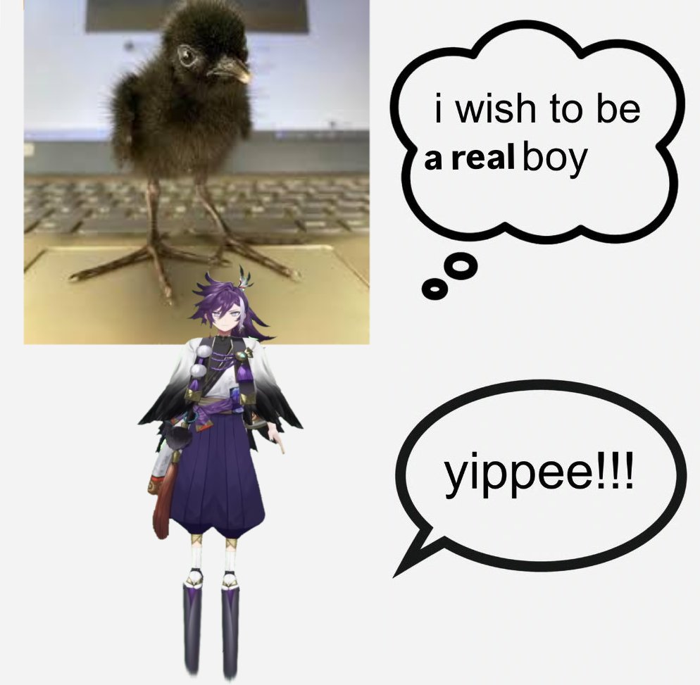 XENO 🧬 tweet media