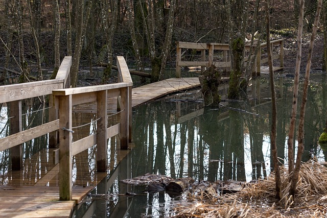 Eric Ogawa tweet media