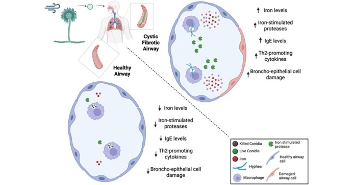 ATS Red Journal tweet media