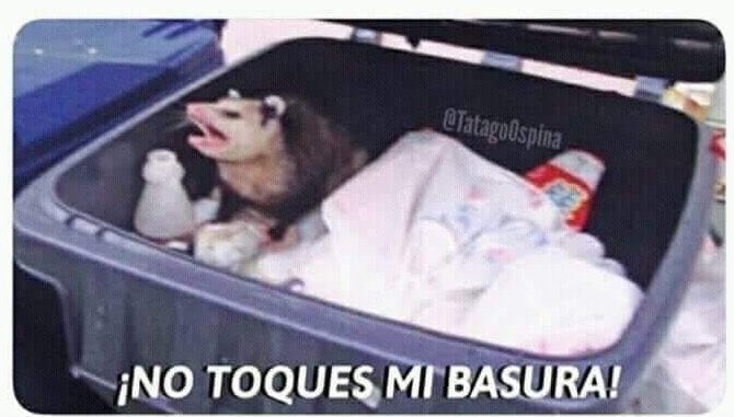Solo nosotros los paraguayos podemos tirar hate a AsunSiria