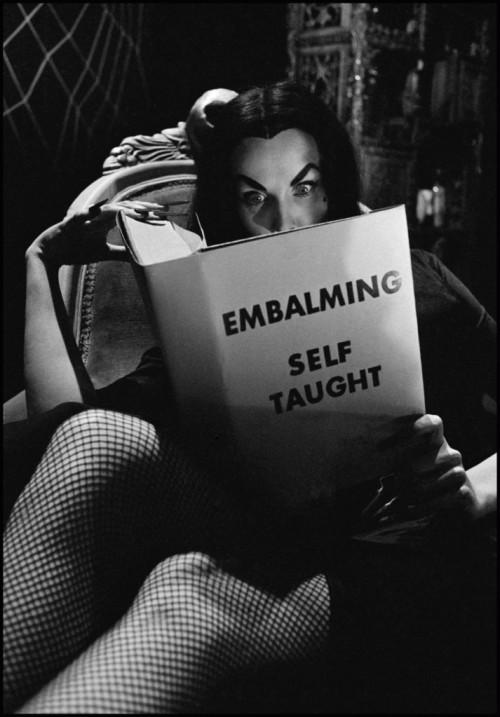 Vampira in 1954