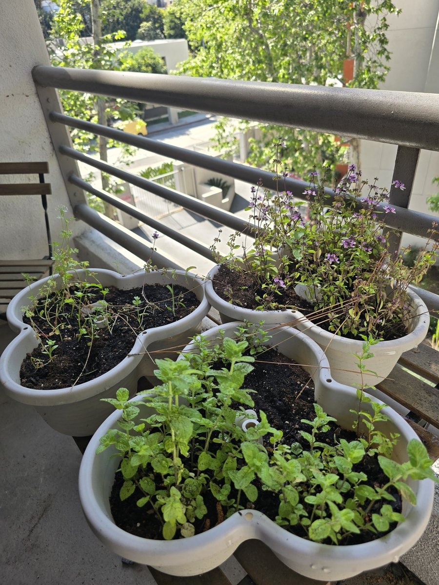 Bill Butts tweet media