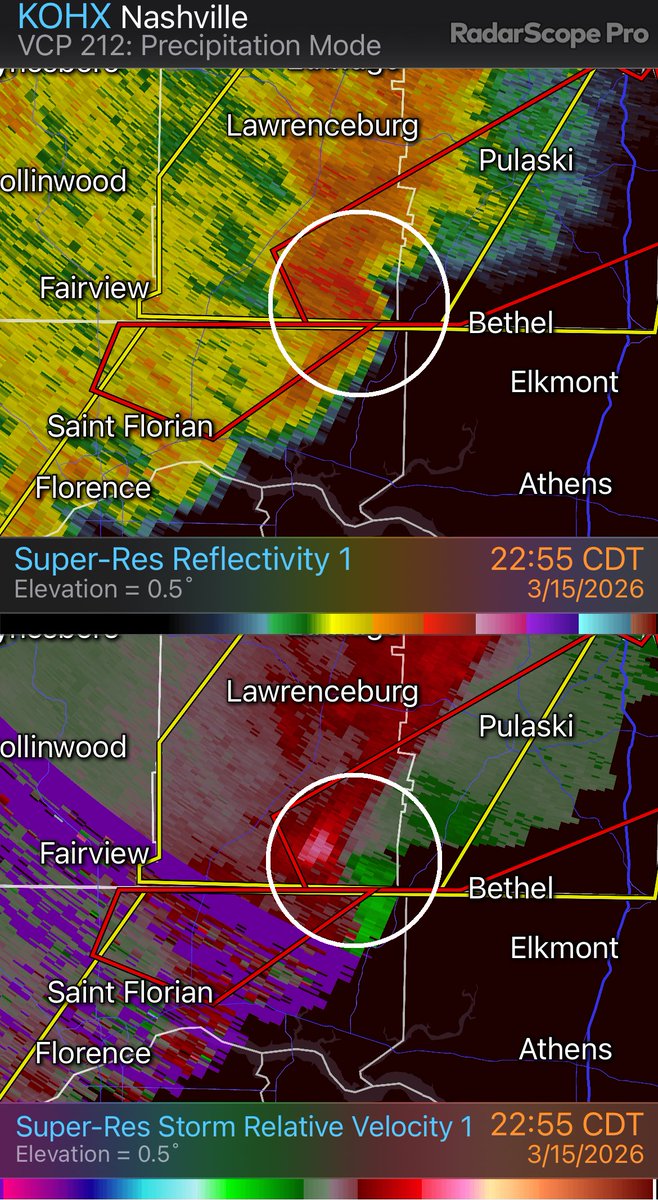 Davis Nolan tweet media