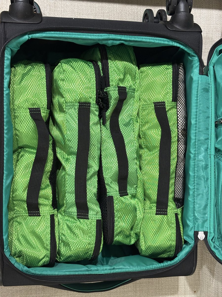 Fernando 🌺🌌 tweet media