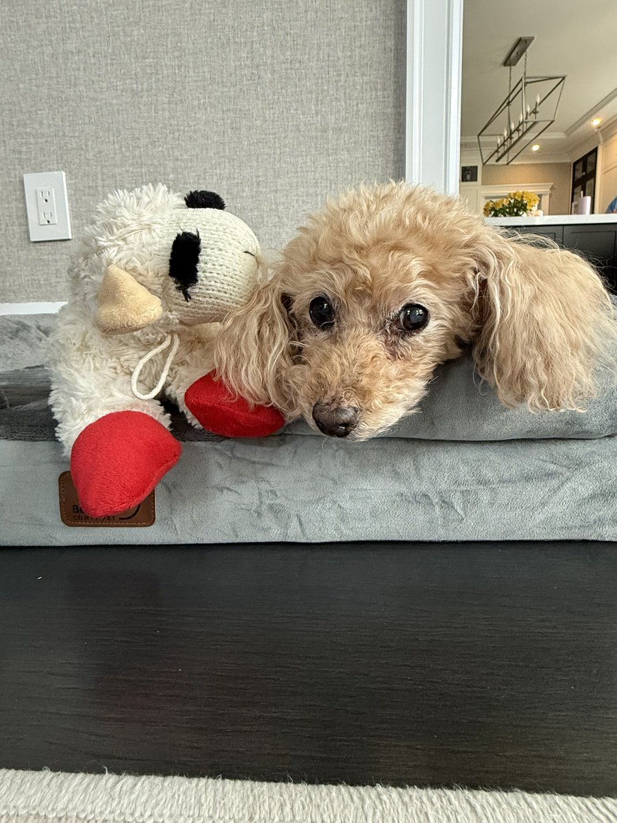 Dan Russo, CMT tweet media