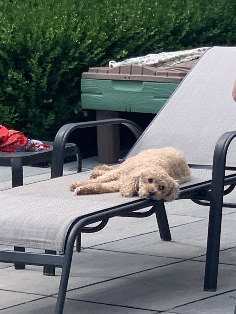 Dan Russo, CMT tweet media