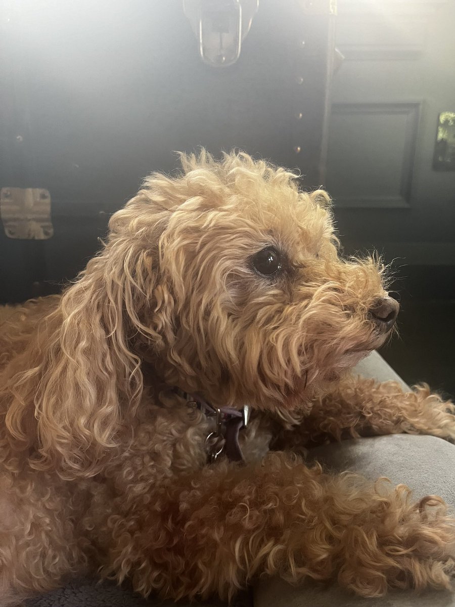 Dan Russo, CMT tweet media