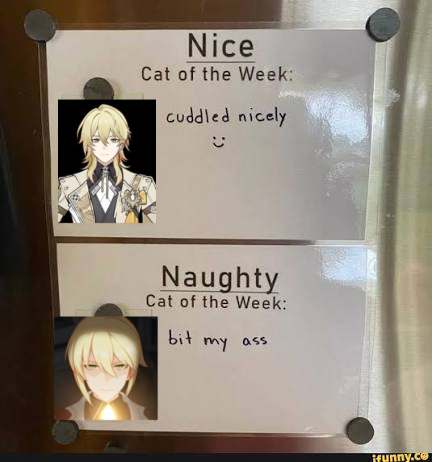 Timely HNA Otto tweet media