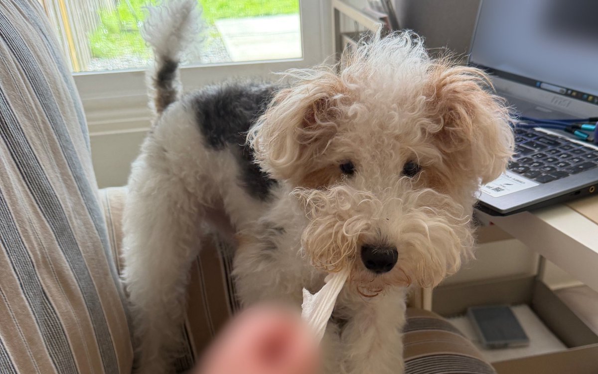 호밀빵의 파수꾼 tweet media