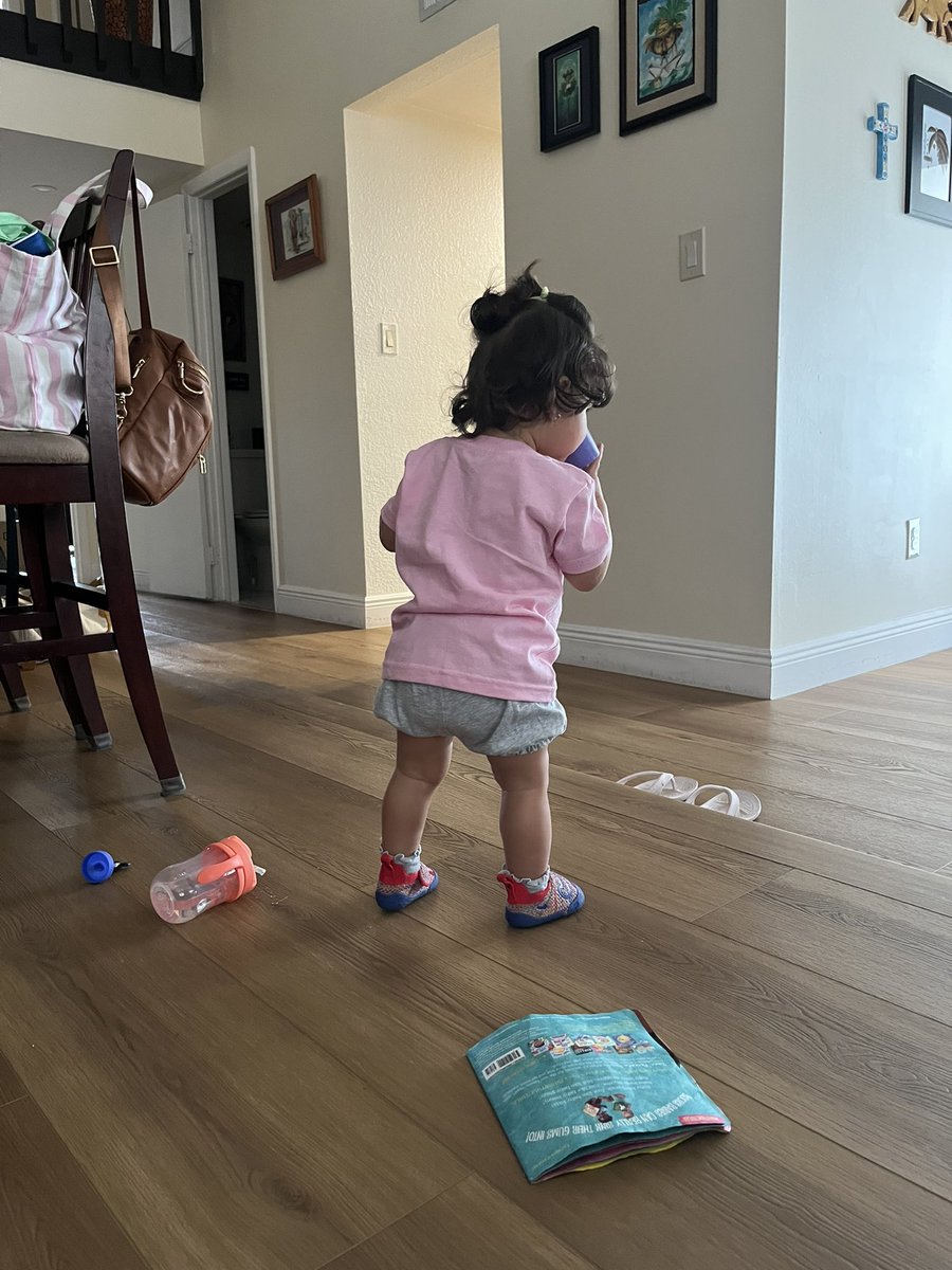 bammbrit's tweet photo. I can watch you explore the world all day 💫 https://t.co/rE9eQ4Yzd0