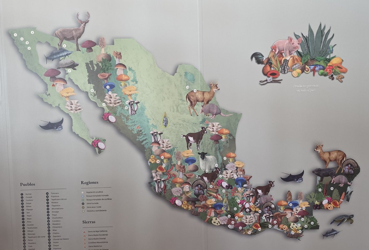 Héroe de la clase trabajadora tweet media