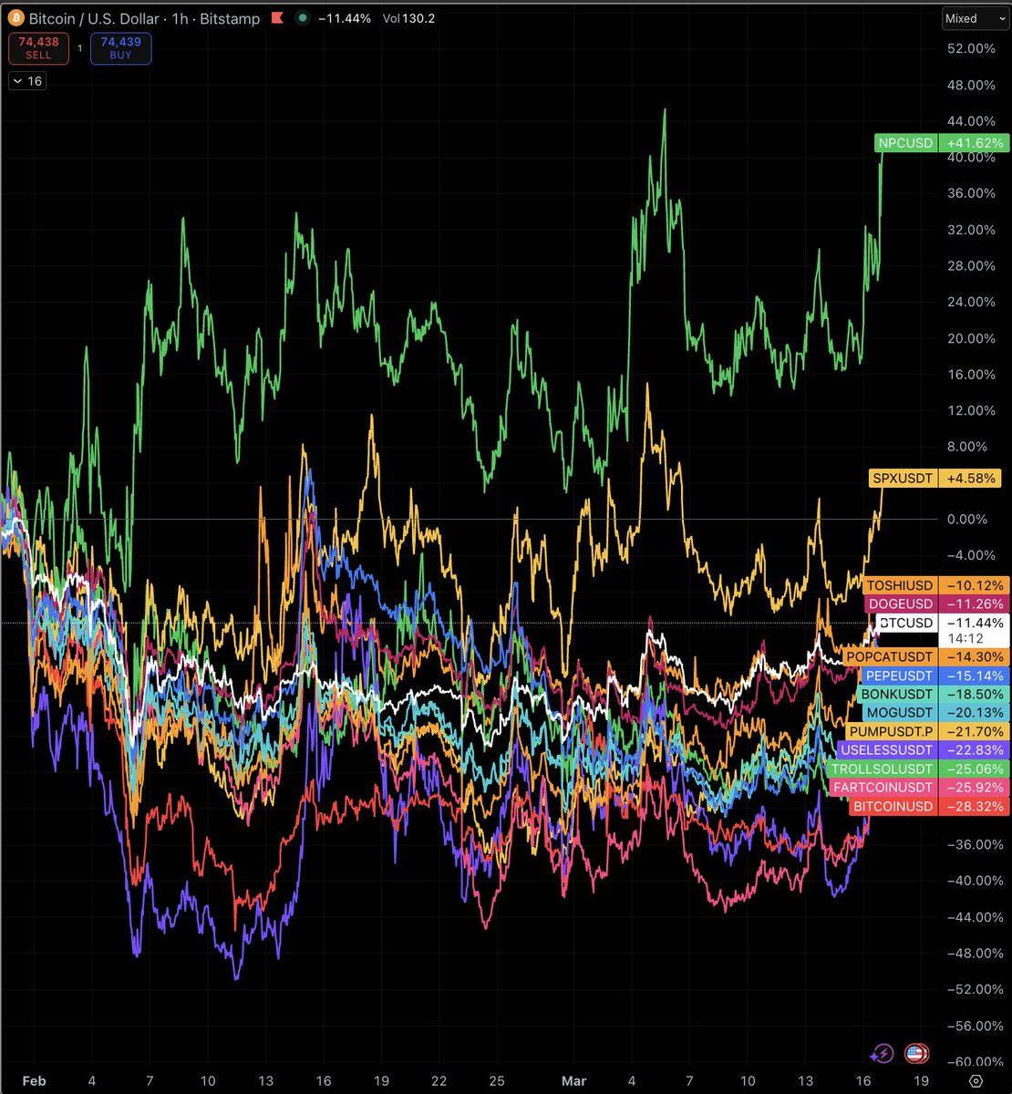 Cryptic Tits (NPCmaxxing) tweet media