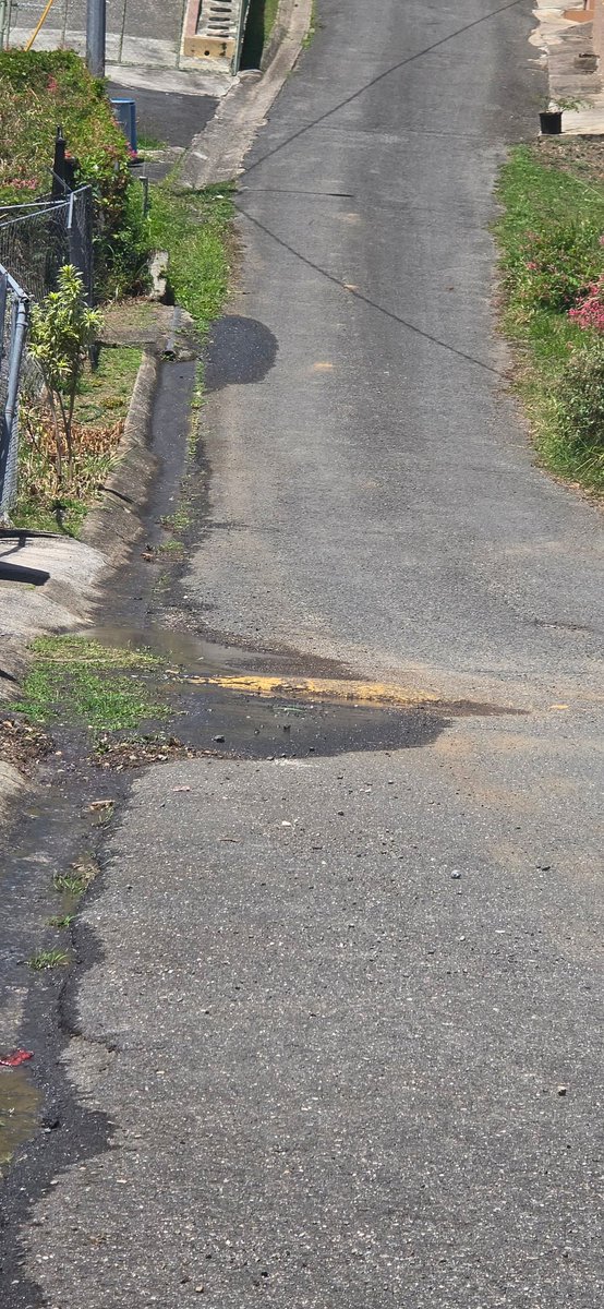 Noticias Salinas tweet media