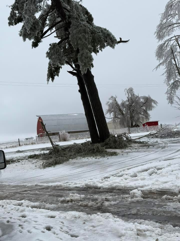 Dave Bondy tweet media