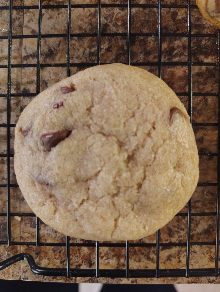 🏋🏿♂️HOTEP📚 tweet media