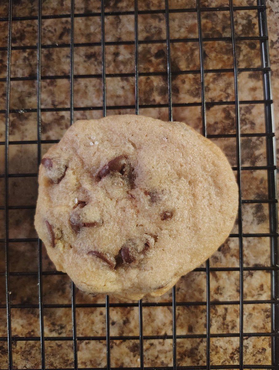 🏋🏿♂️HOTEP📚 tweet media