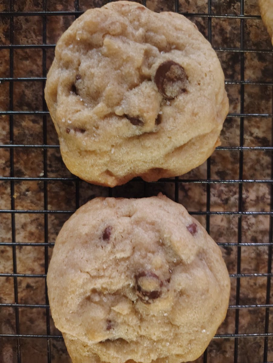 🏋🏿♂️HOTEP📚 tweet media