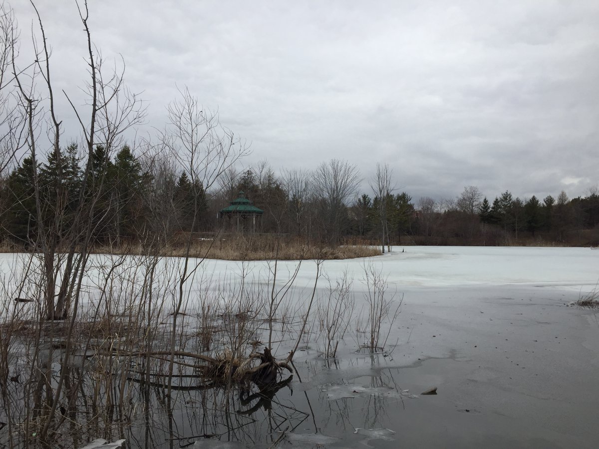 Michael Jacobs tweet media