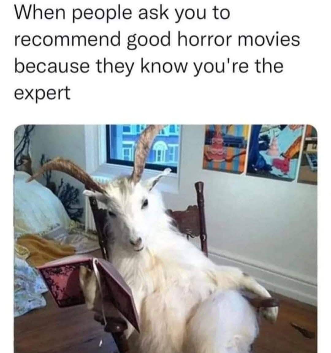 HorrorHammer1's tweet photo. 😂 https://t.co/9l1aZlJF0E