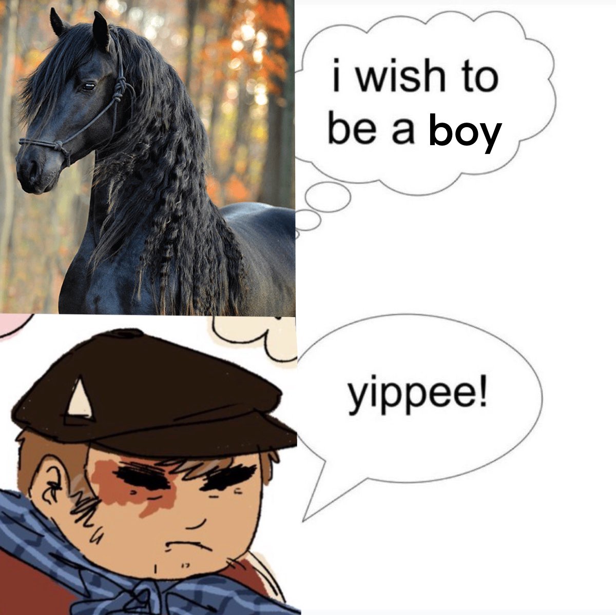 alleyc@t tweet media