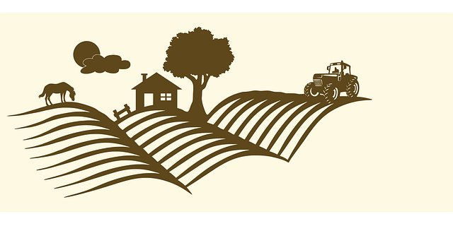 Josh Leverich tweet media