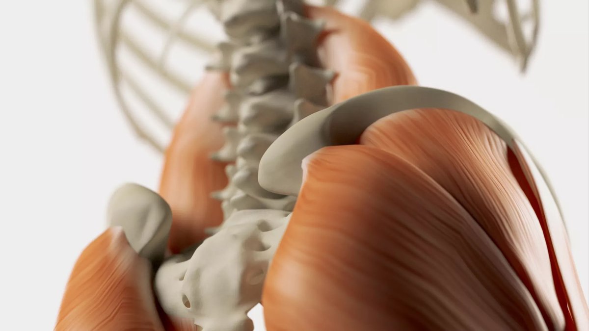 Frontiers - Sports and Active Living tweet media