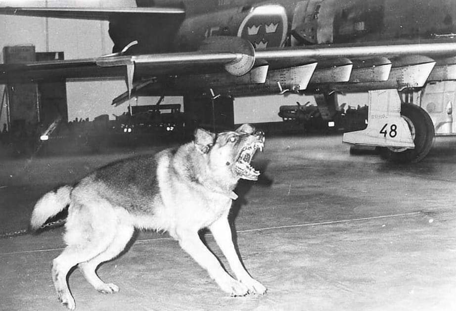 Kalla Kriget, en historia tweet media