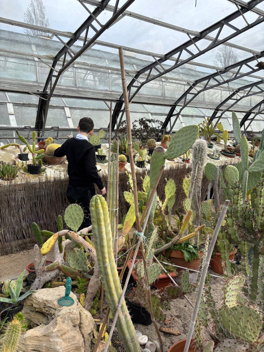 Haringey Learning Partnership tweet media