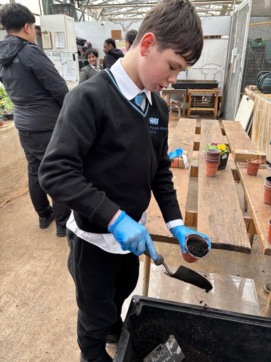 Haringey Learning Partnership tweet media