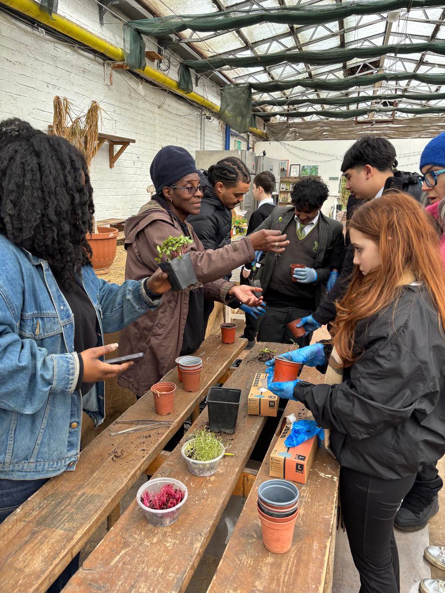 Haringey Learning Partnership tweet media