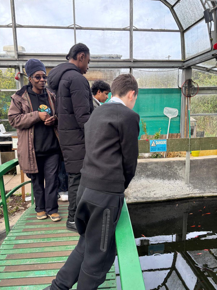 Haringey Learning Partnership tweet media