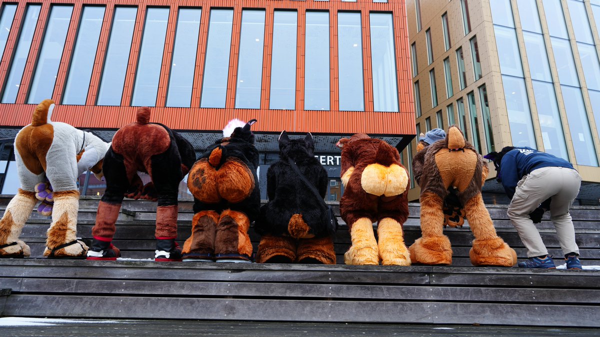 🥃 ᴰᵤᵏᵉ the 👑 ᴅᴏʙᴇʀᴍᴀɴ tweet media