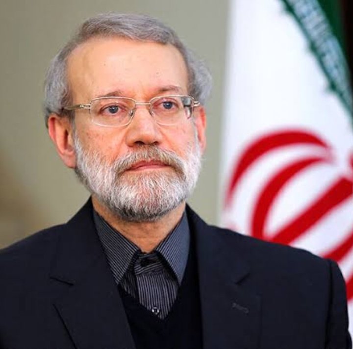 Dina Sulaeman tweet media