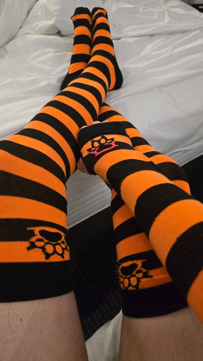 Pup Sam 🔜 Darklands tweet media