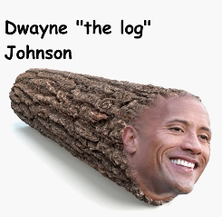 TheBeehive tweet media