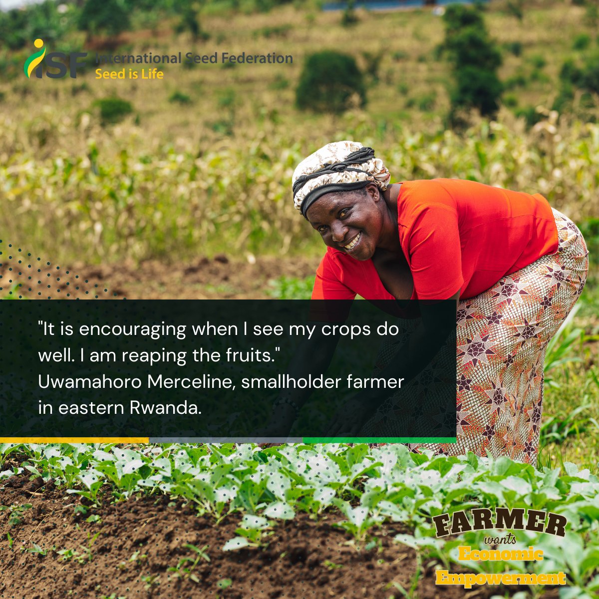 International Seed Federation tweet media