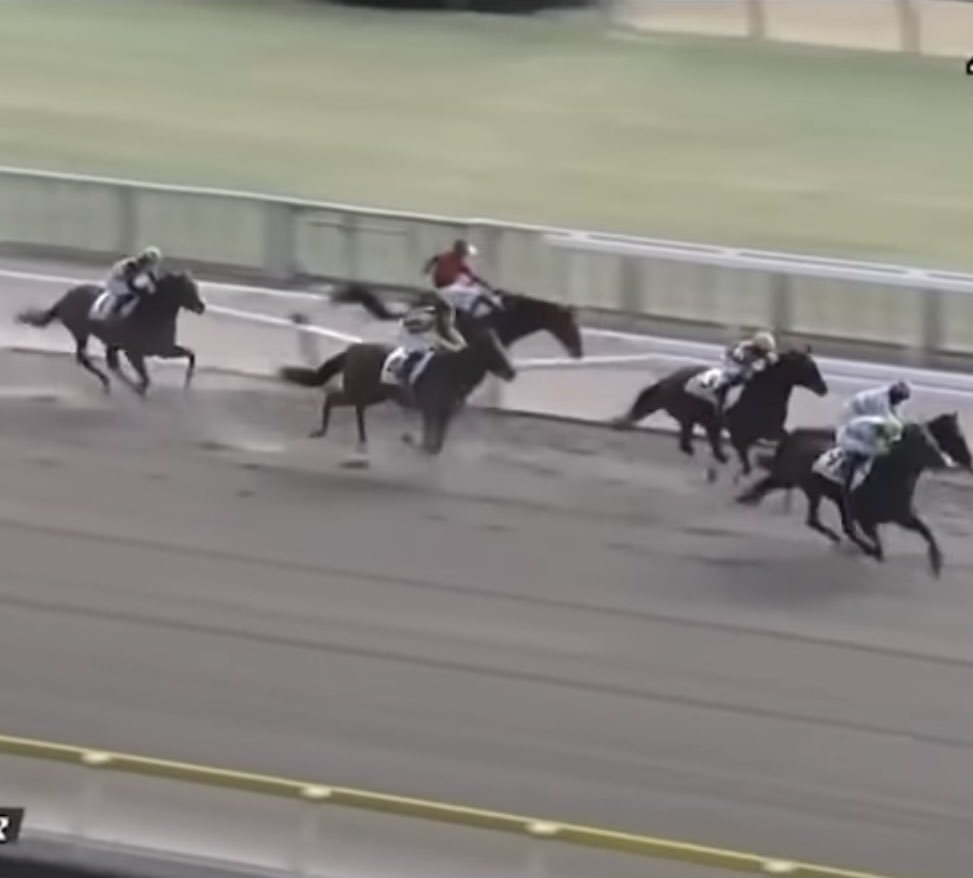 𝐇𝐈𝐑𝐎𝐊𝐈𝐍𓂃 ✴︎ tweet media